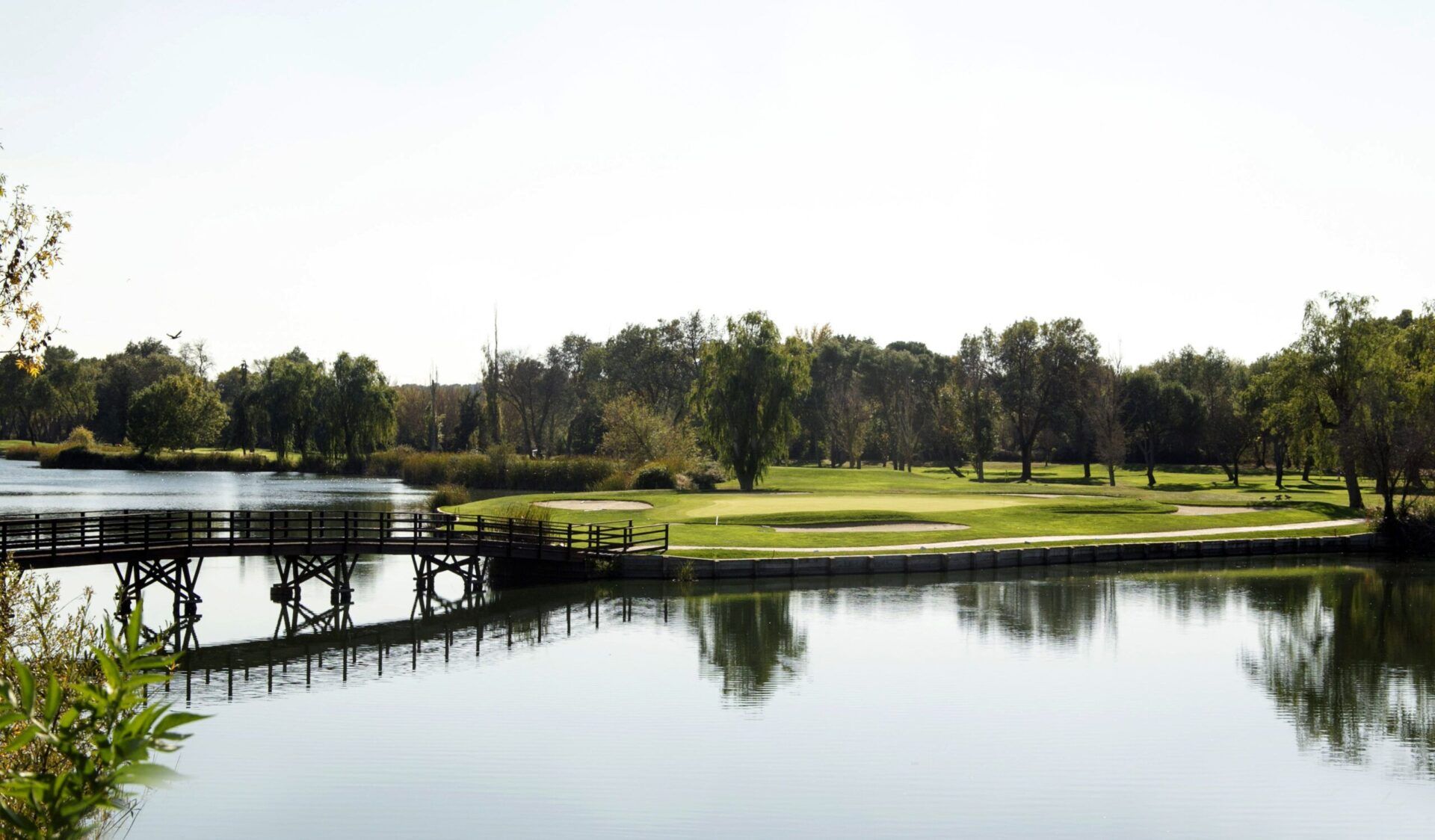 Lomas Bosque campo de golf en Madrid