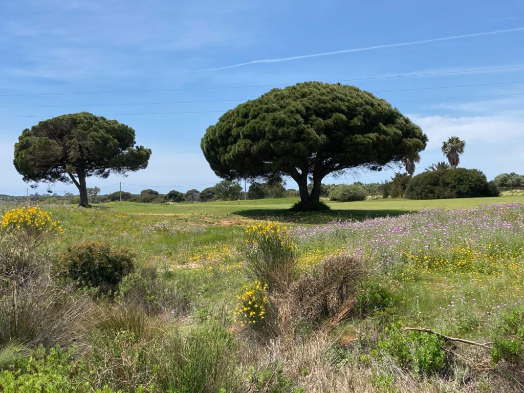 La Estancia, Cádiz