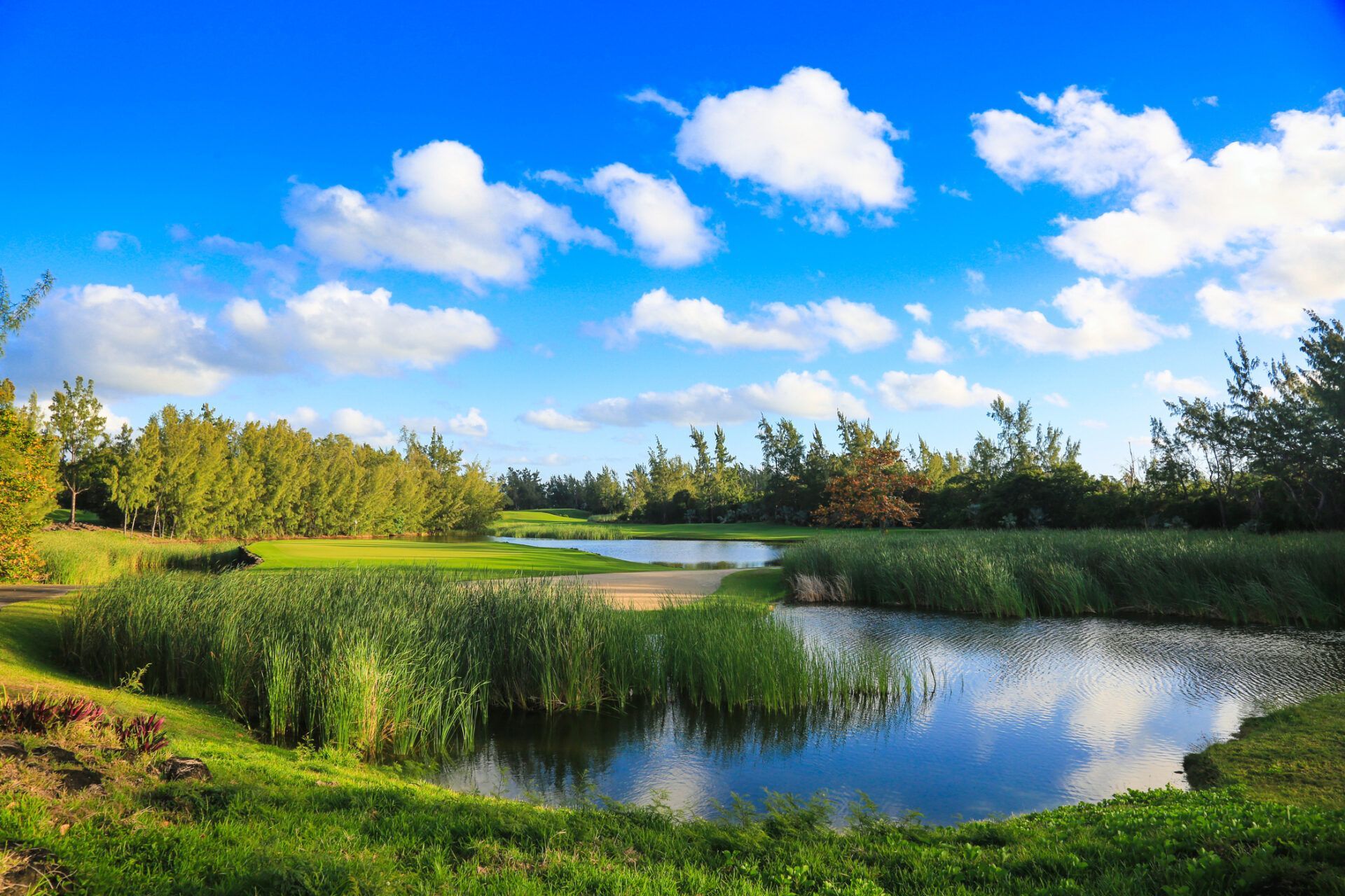Ile Aux Cerfs golf en Isla Mauricio