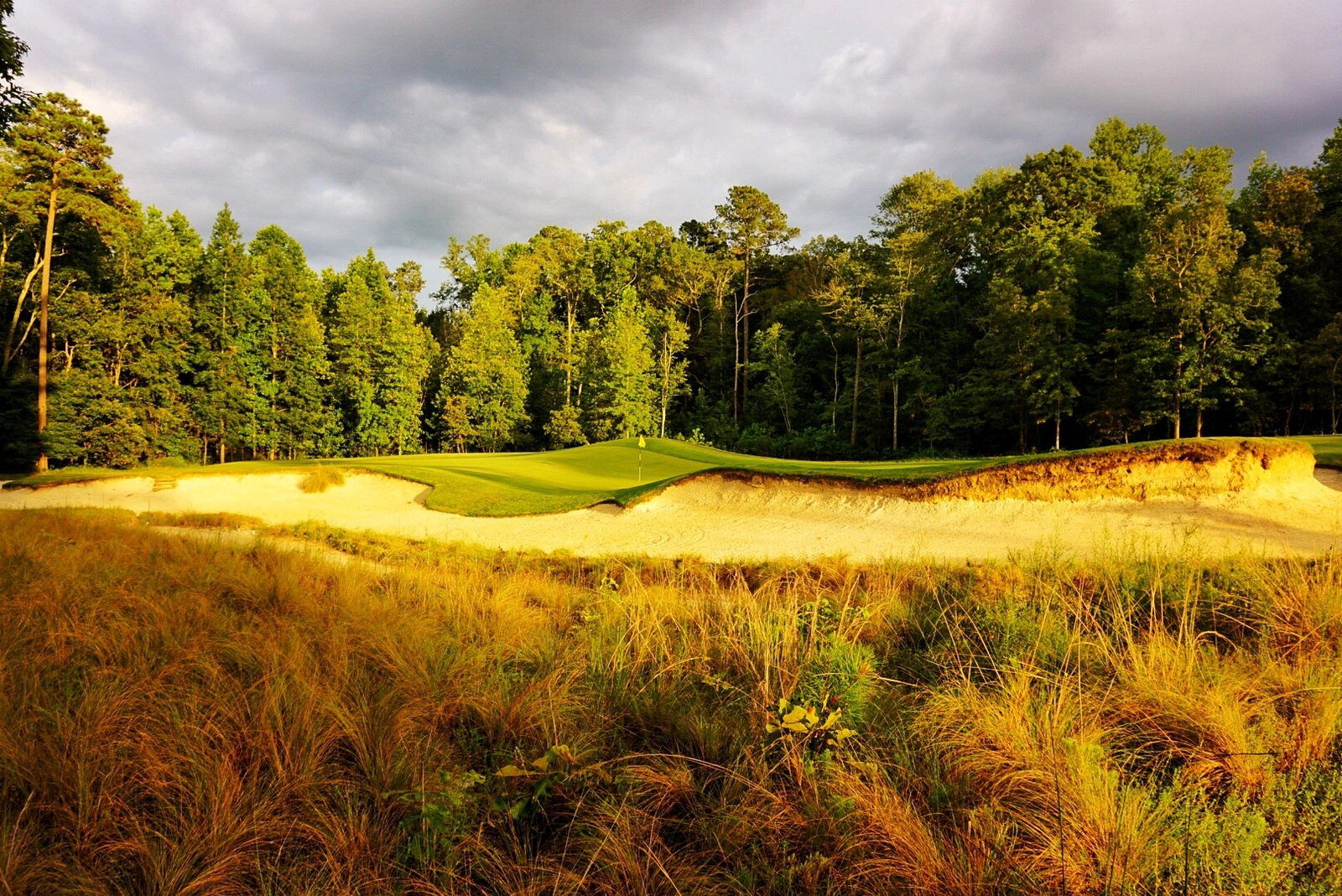 Tobacco Road Golf Course Carolina del Norte Viajes de golf Andgolf Travel bosque