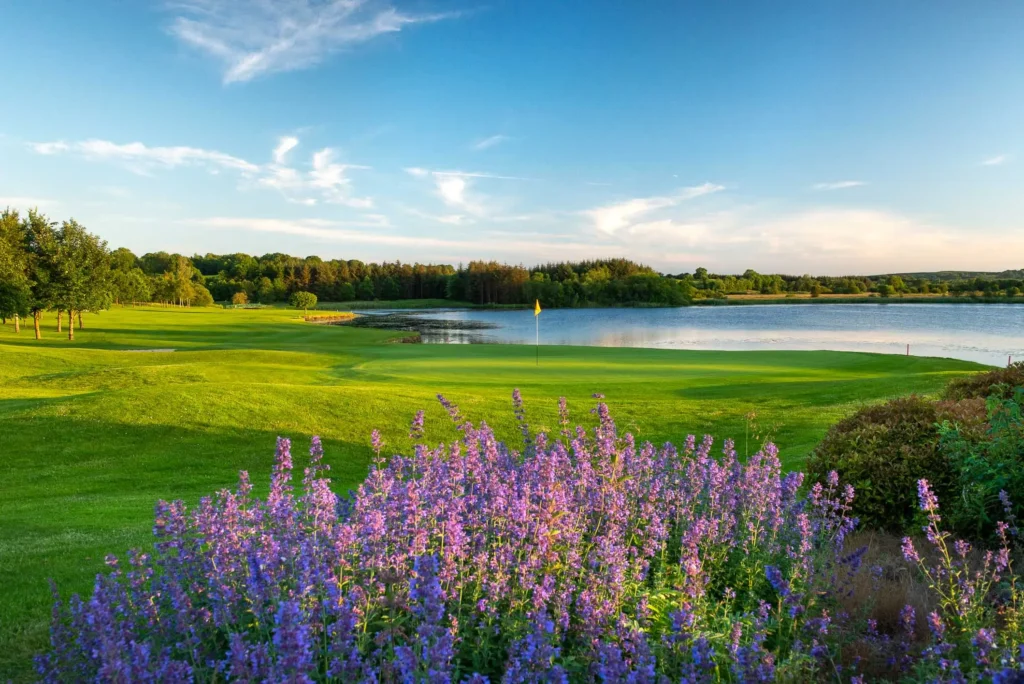 PGA National Slieve Russell 12th green to tee