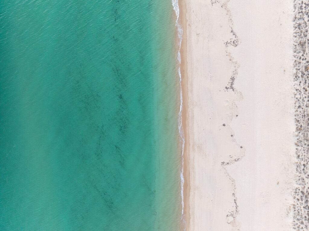 Palmares colores playa