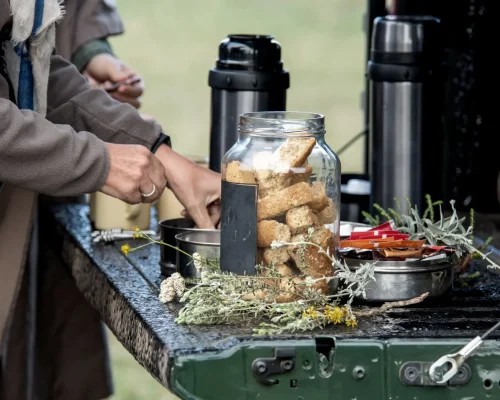 Aperitivo safari en la naturaleza