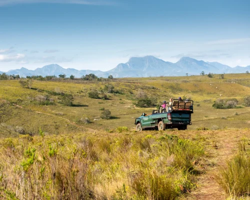 Safari con golf en Sudáfrica