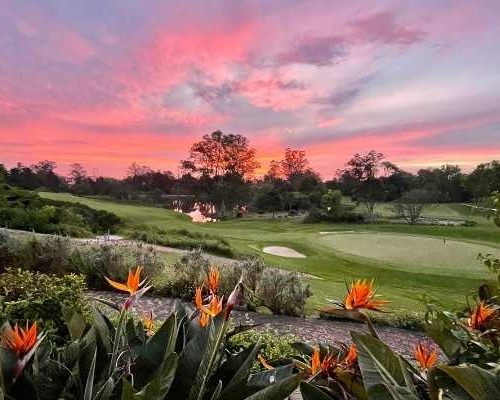 George GC Sudáfrica