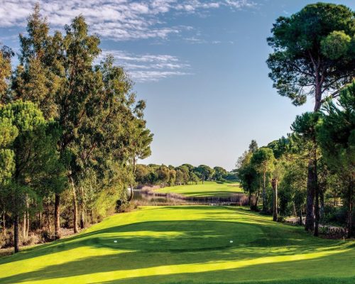 Cornelia Golf Course Faldo HOLE-27---LAKES-TEE-2