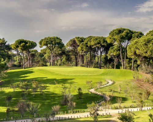 Cornelia Golf Course Faldo HOHOLE-6---PLATEAU-2