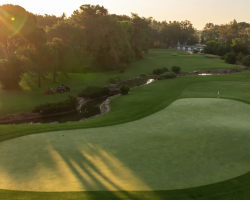 Montgomerie Maxx Royal hoyo green