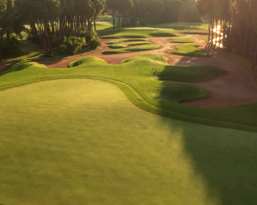 Montgomerie Maxx Royal hoyo green bunkers