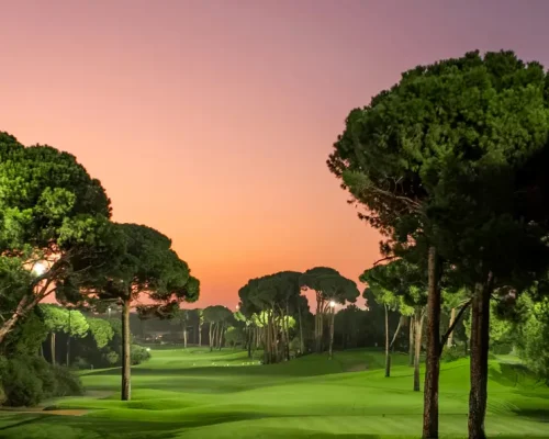 Montgomerie Maxx Royal hoyo iluminado