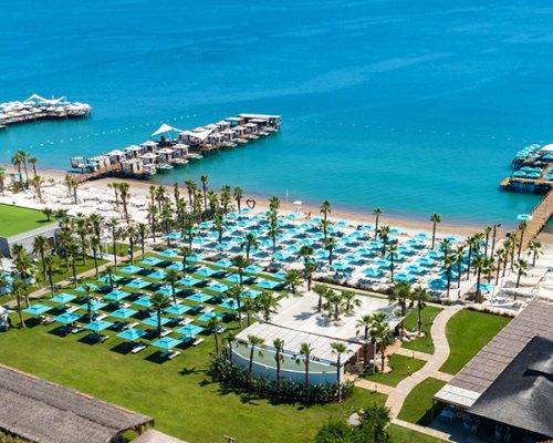 regnumcarya_beachlife